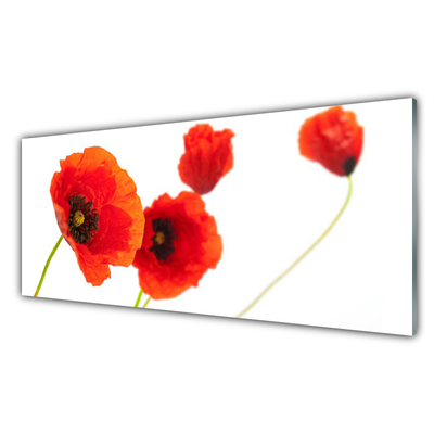 Image sur verre Tableau Fleurs floral rouge vert