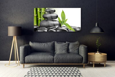 Image sur verre Tableau Pierres feuilles art noir vert