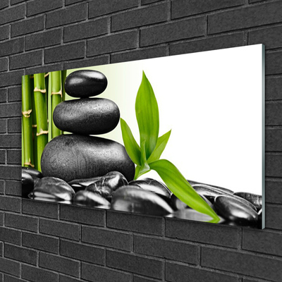 Image sur verre Tableau Pierres feuilles art noir vert