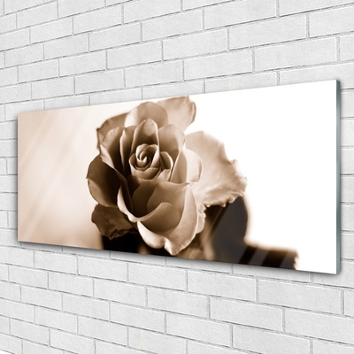 Image sur verre Tableau Rose floral sépia
