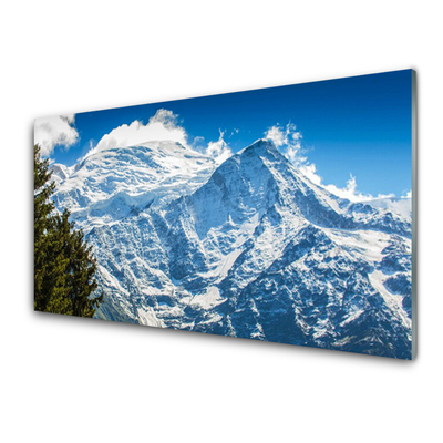 Image sur verre Tableau Montagne arbre paysage bleu blanc vert