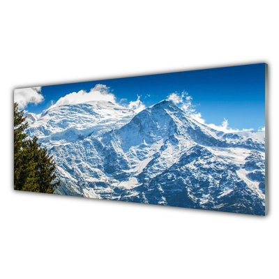 Image sur verre Tableau Montagne arbre paysage bleu blanc vert