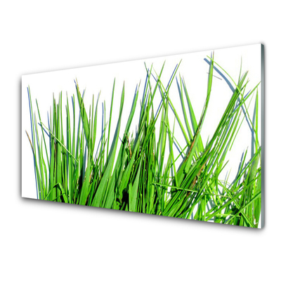 Image sur verre Tableau Herbe floral vert