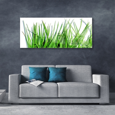 Image sur verre Tableau Herbe floral vert