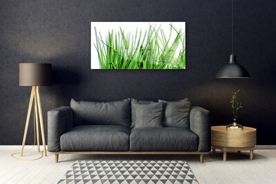 Image sur verre Tableau Herbe floral vert