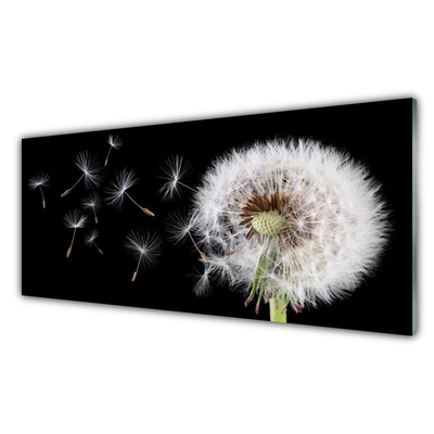 Image sur verre Tableau Pissenlit floral blanc noir