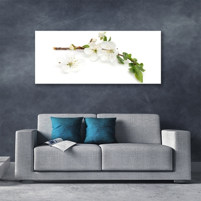 Image sur verre Tableau Fleurs branche nature blanc brun vert