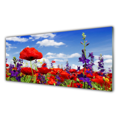 Image sur verre Tableau Fleurs nature rouge bleu violet vert