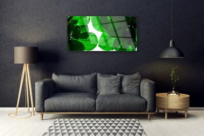 Image sur verre Tableau Feuilles floral vert