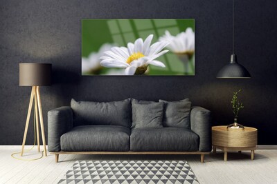 Image sur verre Tableau Marguerite floral blanc jaune vert