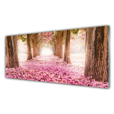 Image sur verre Tableau Chemin troncs d'arbres nature brun rose