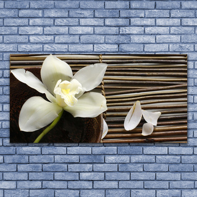 Image sur verre Tableau Fleur floral blanc brun vert