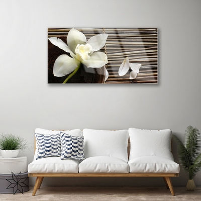 Image sur verre Tableau Fleur floral blanc brun vert