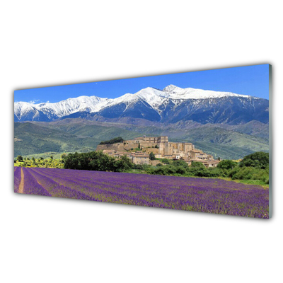 Image sur verre Tableau Prairie fleurs montagnes paysage violet vert bleu blanc