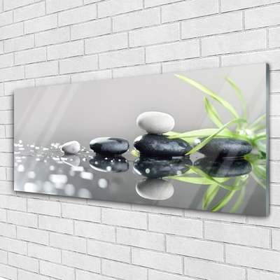 Image sur verre Tableau Pierres herbe art noir blanc gris vert