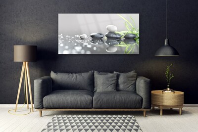 Image sur verre Tableau Pierres herbe art noir blanc gris vert