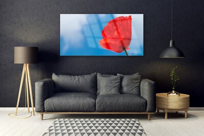 Image sur verre Tableau Tulipe floral rouge bleu