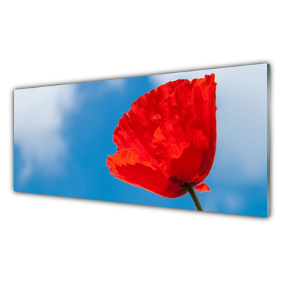 Image sur verre Tableau Tulipe floral rouge bleu