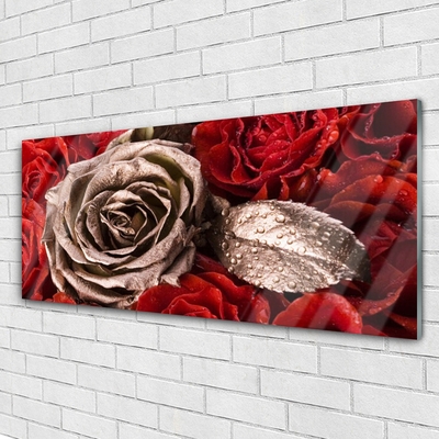 Image sur verre Tableau Roses floral rouge