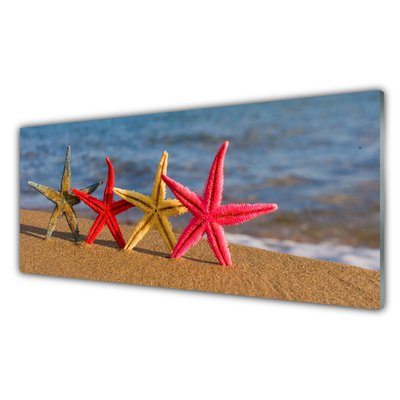 Image sur verre Tableau Plage étoile de mer art multicolore
