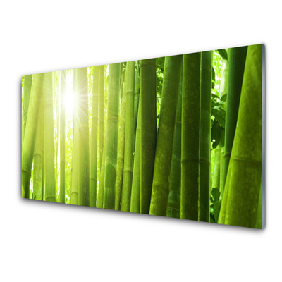 Image sur verre Tableau Bambou floral vert