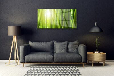 Image sur verre Tableau Bambou floral vert