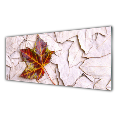 Image sur verre Tableau Feuilles floral multicolore