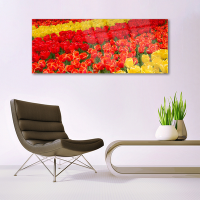 Image sur verre Tableau Tulipes floral rouge jaune