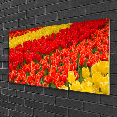 Image sur verre Tableau Tulipes floral rouge jaune