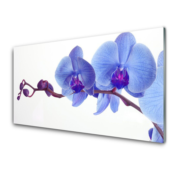 Image sur verre Tableau Fleurs floral bleu violet