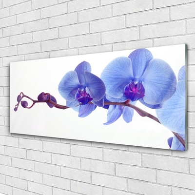 Image sur verre Tableau Fleurs floral bleu violet