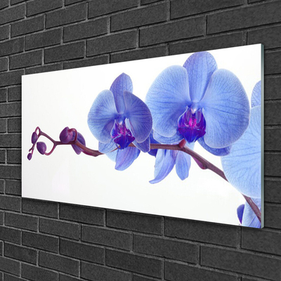 Image sur verre Tableau Fleurs floral bleu violet