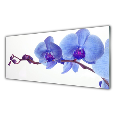 Image sur verre Tableau Fleurs floral bleu violet