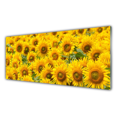 Image sur verre Tableau Tournesol floral jaune brun vert