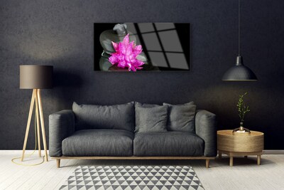 Image sur verre Tableau Fleurs pierres floral rose gris