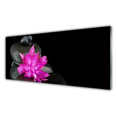 Image sur verre Tableau Fleurs pierres floral rose gris