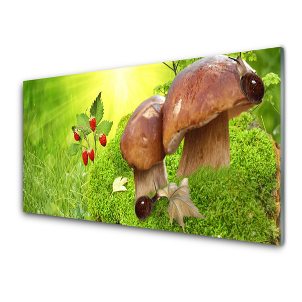 Image sur verre Tableau Champignons herbe fraises des bois nature brun rouge vert