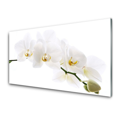 Image sur verre Tableau Fleurs floral blanc