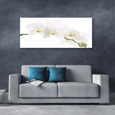 Image sur verre Tableau Fleurs floral blanc