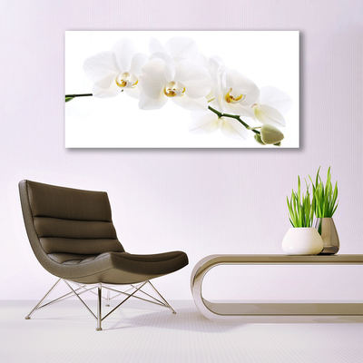 Image sur verre Tableau Fleurs floral blanc