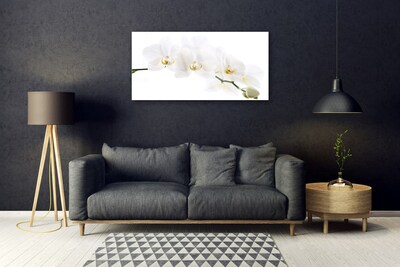 Image sur verre Tableau Fleurs floral blanc