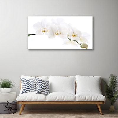 Image sur verre Tableau Fleurs floral blanc