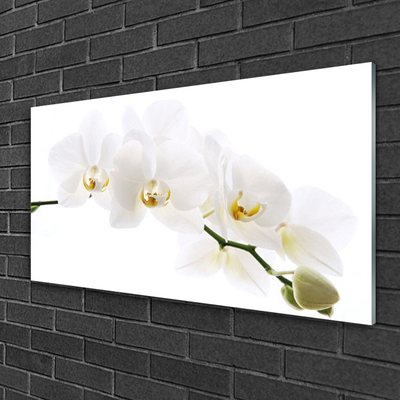 Image sur verre Tableau Fleurs floral blanc