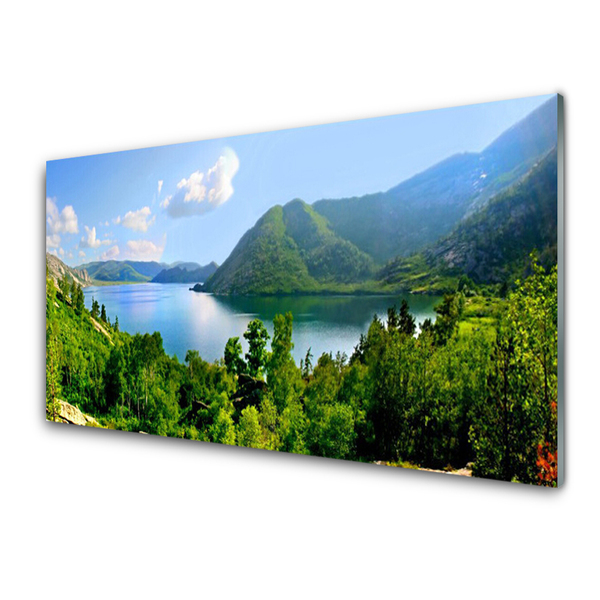 Image sur verre Tableau Forêt lac montagnes paysage vert bleu