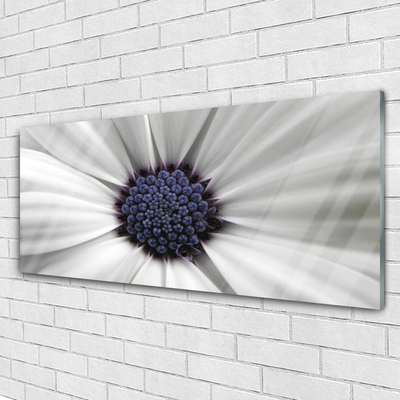 Image sur verre Tableau Fleur floral blanc gris violet