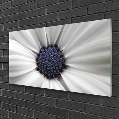 Image sur verre Tableau Fleur floral blanc gris violet