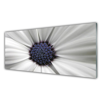 Image sur verre Tableau Fleur floral blanc gris violet