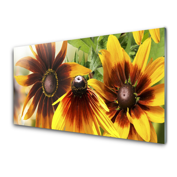 Image sur verre Tableau Fleurs floral brun jaune