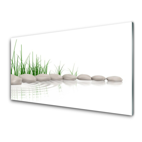 Image sur verre Tableau Herbe pierres art gris vert