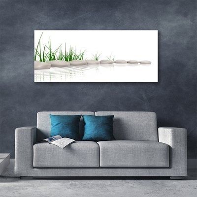 Image sur verre Tableau Herbe pierres art gris vert